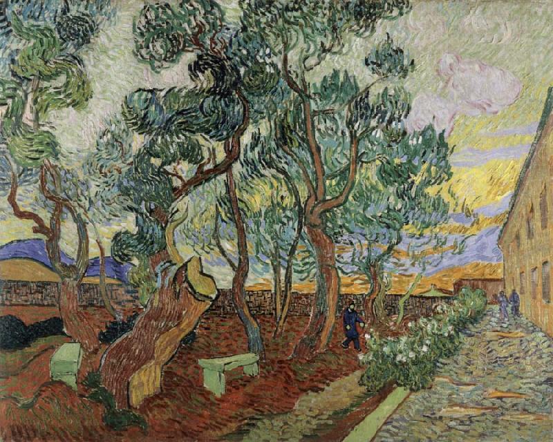Vincent Van Gogh The Garden of the Asylum in St.Remy china oil painting image